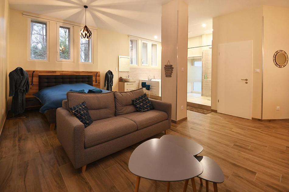 Ravissant Loft avec jacuzzi pour séjours détente Estrasburgo Exterior foto
