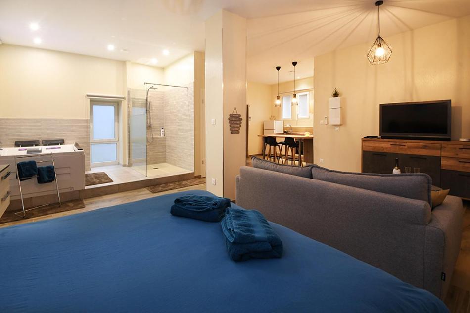 Ravissant Loft avec jacuzzi pour séjours détente Estrasburgo Exterior foto